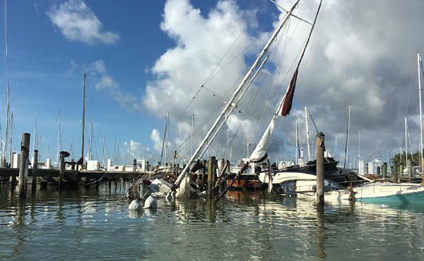 Hurricane damage in 2017 affected 60% of the dockage.