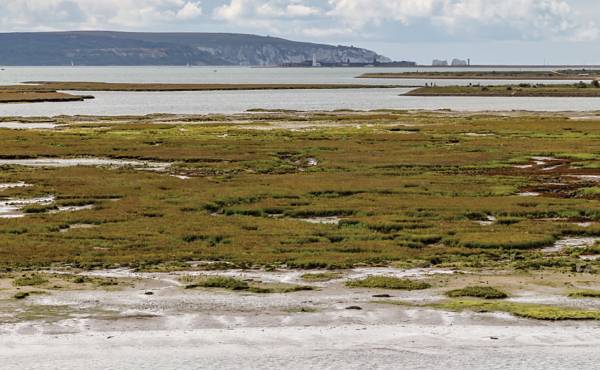 Dredging and relocating mud from the outer reaches of the riverbed in Lymington is creating a sediment-rich reef that helps protect the salt marshes behind.